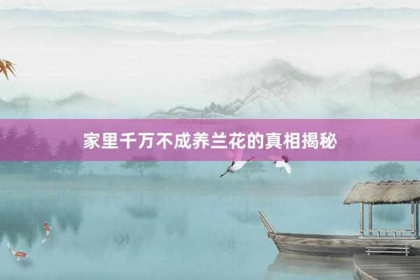 家里千万不成养兰花的真相揭秘