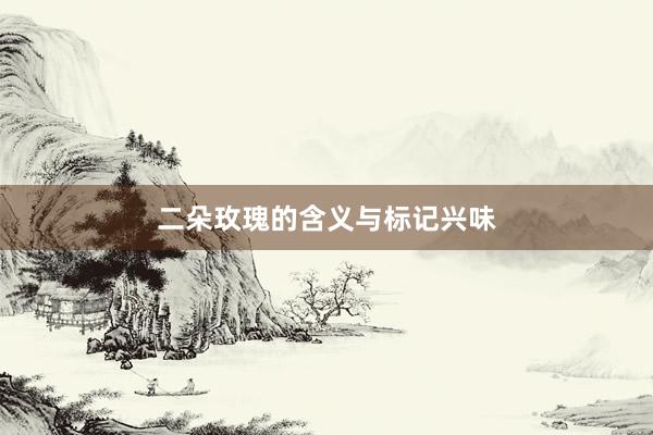 二朵玫瑰的含义与标记兴味