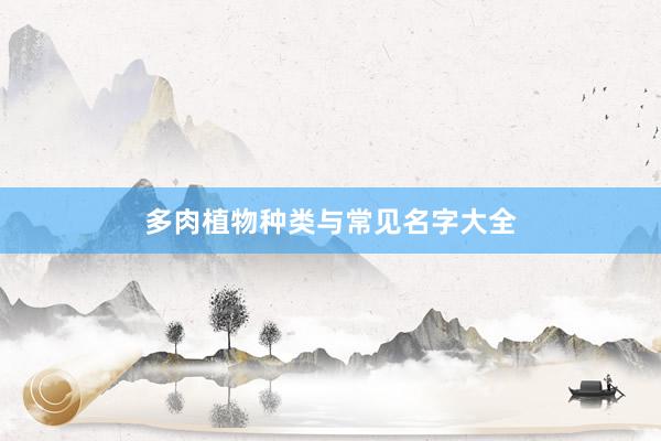 多肉植物种类与常见名字大全
