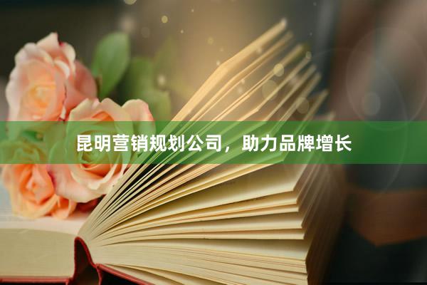 昆明营销规划公司，助力品牌增长